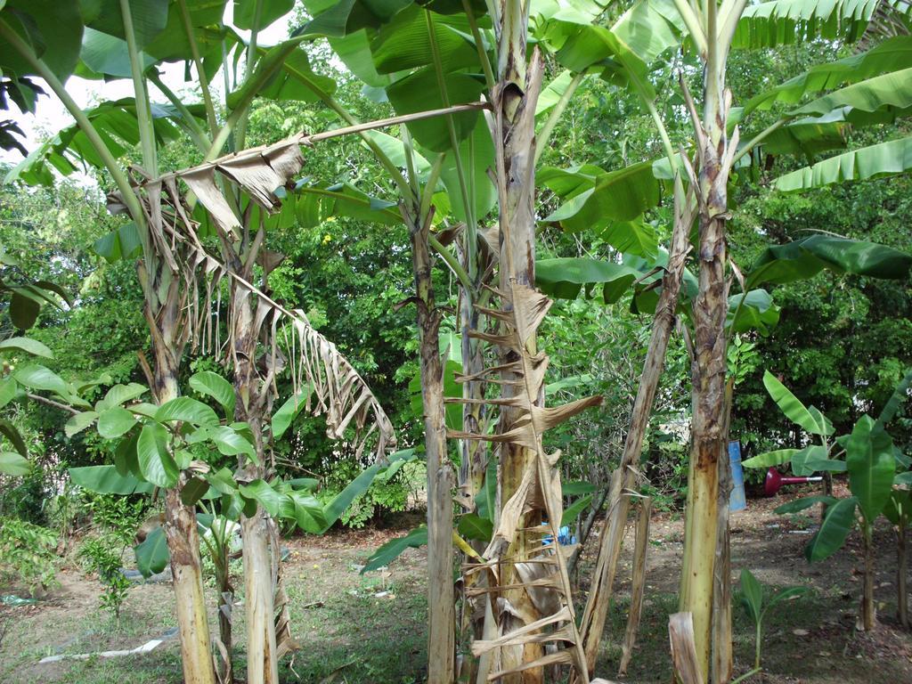Pousada Pimenta Rosa Saquarema Ngoại thất bức ảnh