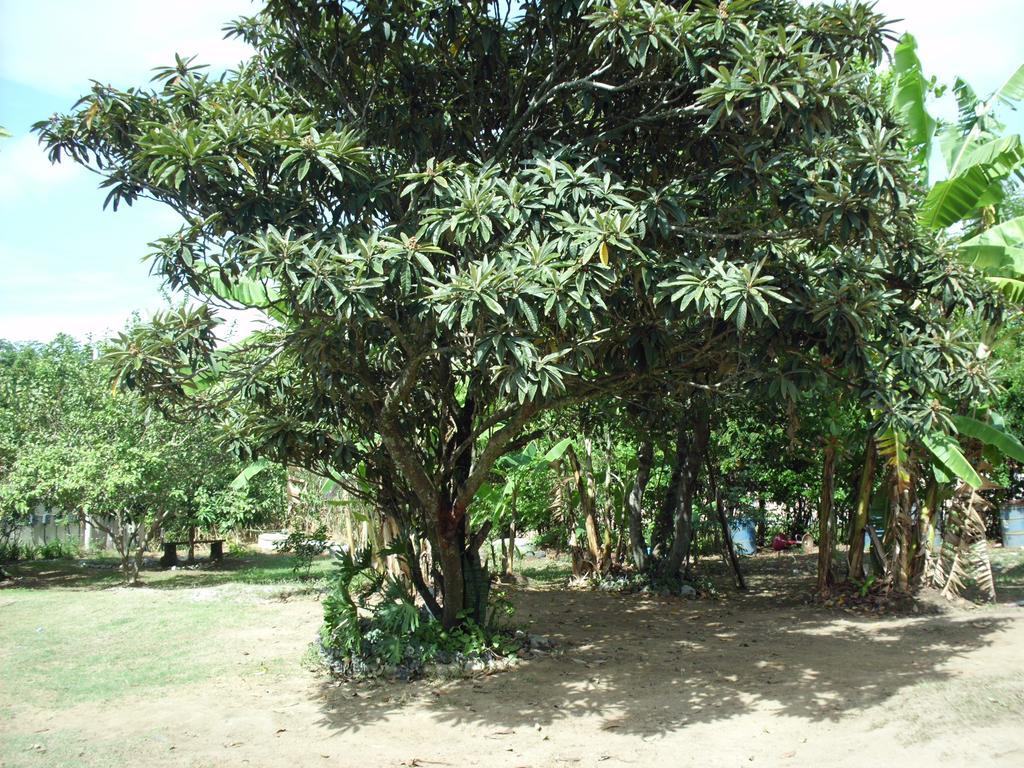 Pousada Pimenta Rosa Saquarema Ngoại thất bức ảnh