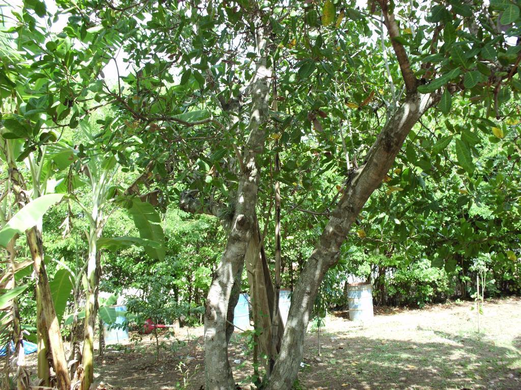 Pousada Pimenta Rosa Saquarema Ngoại thất bức ảnh