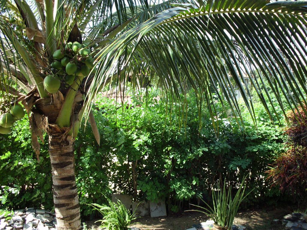Pousada Pimenta Rosa Saquarema Ngoại thất bức ảnh